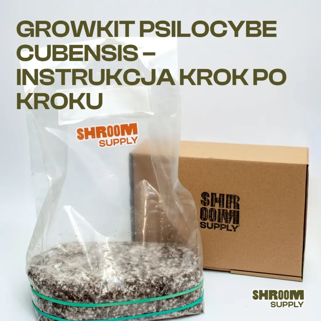 GROWKIT PSILOCYBE CUBENSIS – INSTRUKCJA KROK PO KROKU