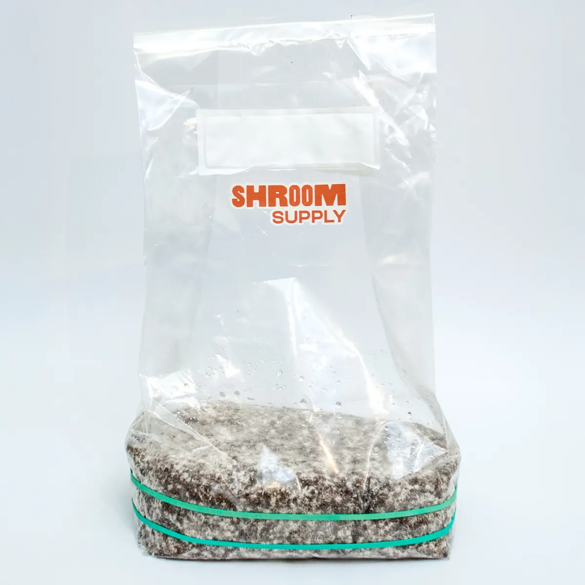 ABV albino blue vuitton growkit shroomsupply psilocybe cubensis