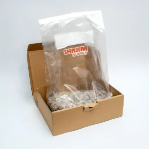 ABV albino blue vuitton growkit shroomsupply psilocybe cubensis