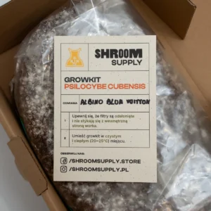ABV albino blue vuitton growkit shroomsupply psilocybe cubensis etykieta