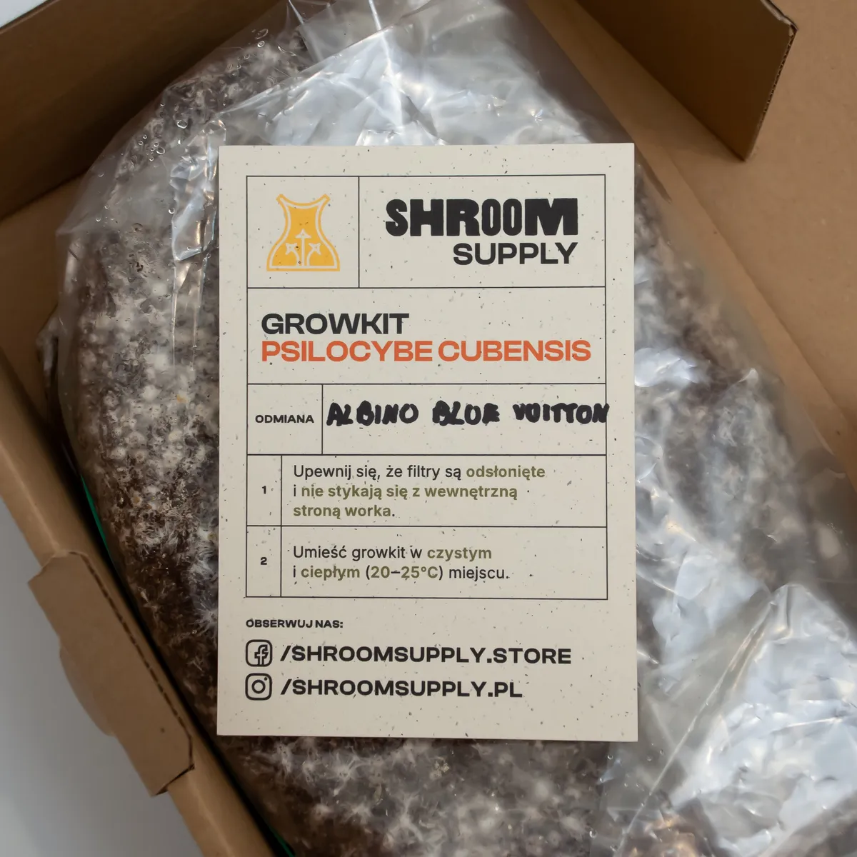 ABV albino blue vuitton growkit shroomsupply psilocybe cubensis etykieta