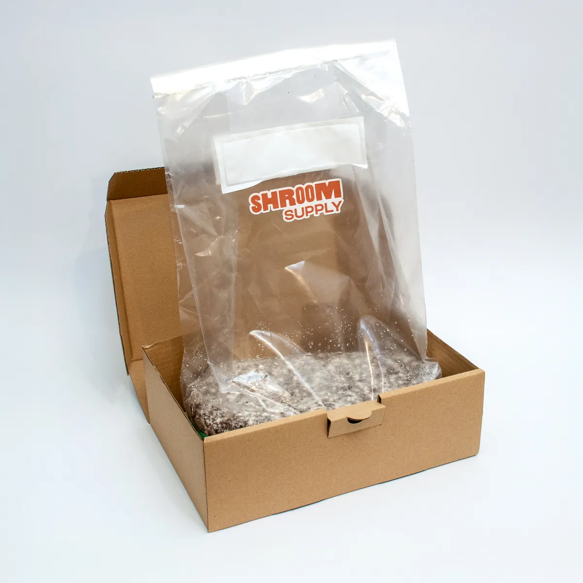 ABV albino blue vuitton growkit shroomsupply psilocybe cubensis