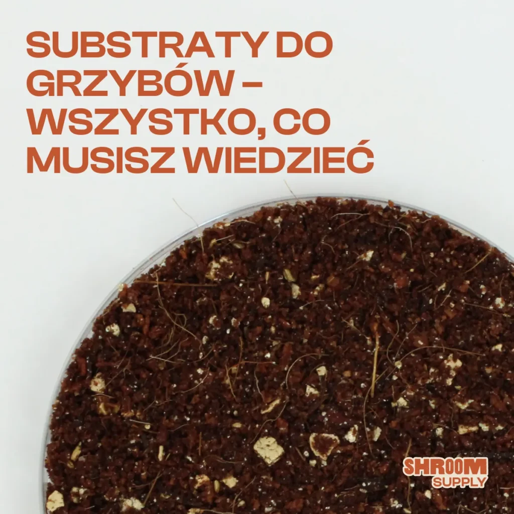 SUBSTRATY DO GRZYBOW - WSZYSTKO CO MUSISZ WIEDZIEC