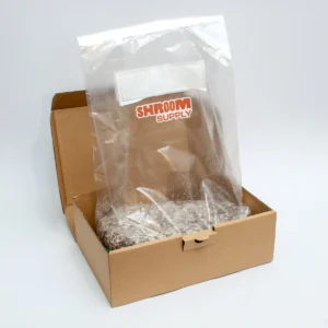 TYC texas yellow cap growkit shroomsupply psilocybe cubensis