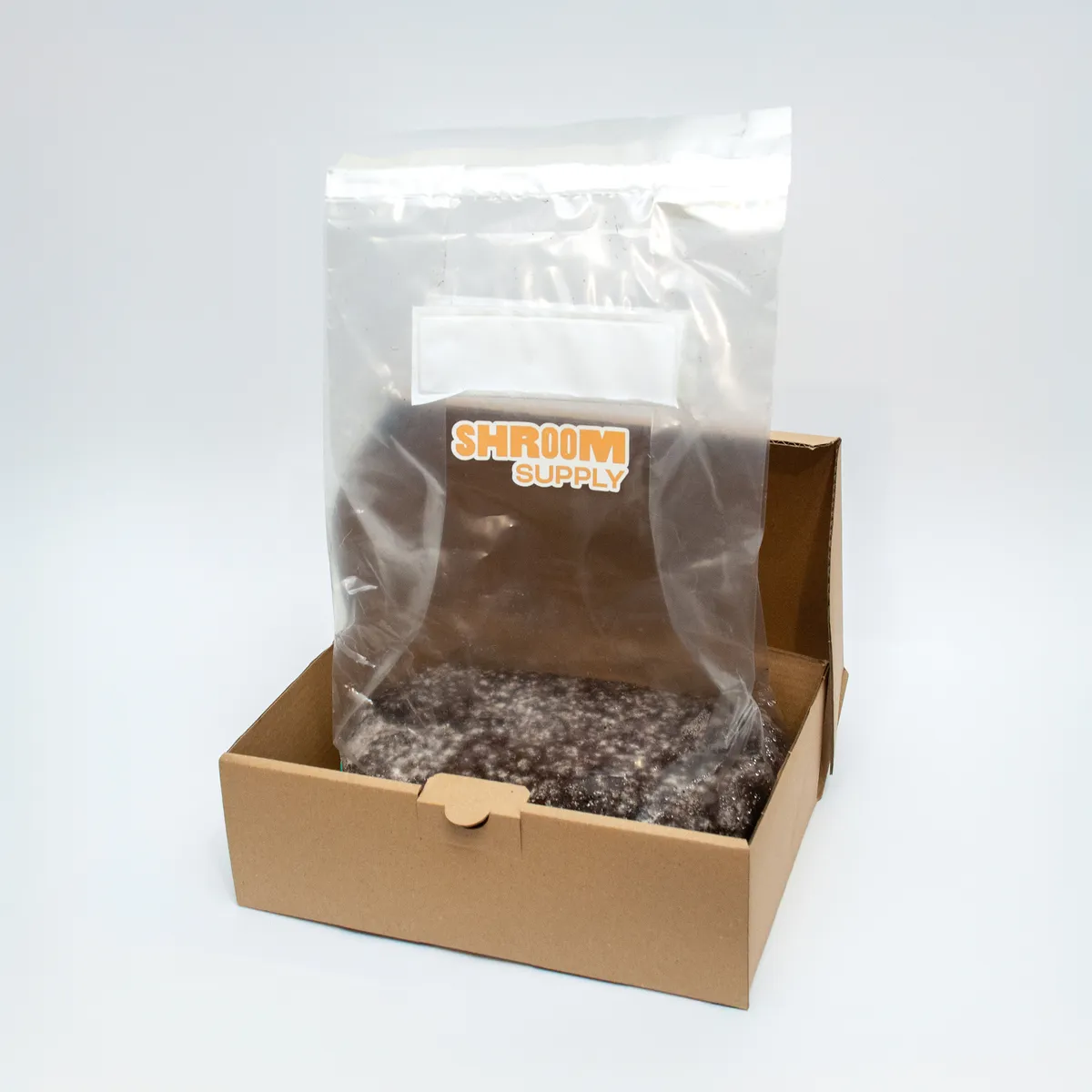 cambodian growkit shroomsupply psilocybe cubensis