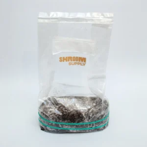 cambodian growkit shroomsupply psilocybe cubensis