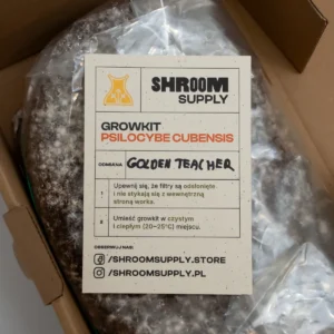 golden teacher growkit shroomsupply psilocybe cubensis etykieta