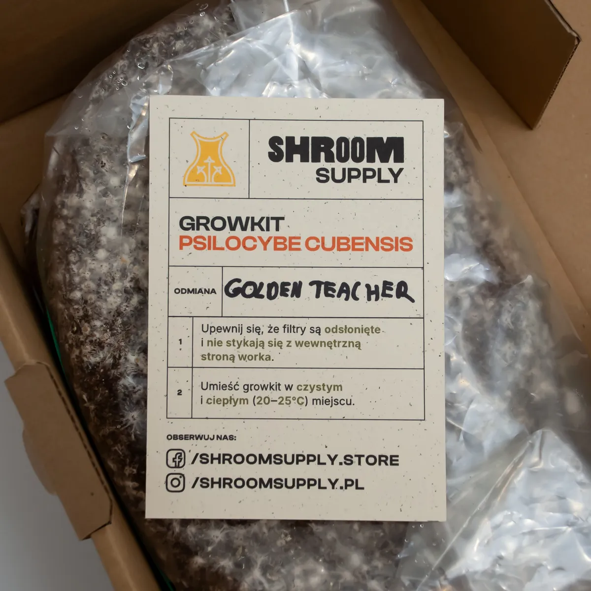 golden teacher growkit shroomsupply psilocybe cubensis etykieta