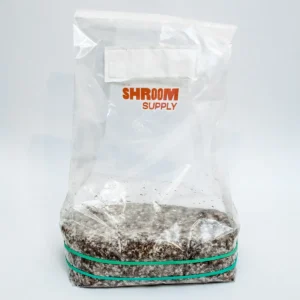 hillbilly pumpkin growkit shroomsupply psilocybe cubensis