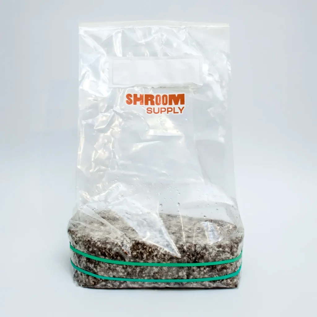 jack rabbit growkit shroomsupply psilocybe cubensis