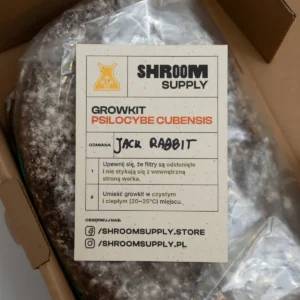 jack rabbit growkit shroomsupply psilocybe cubensis etykieta