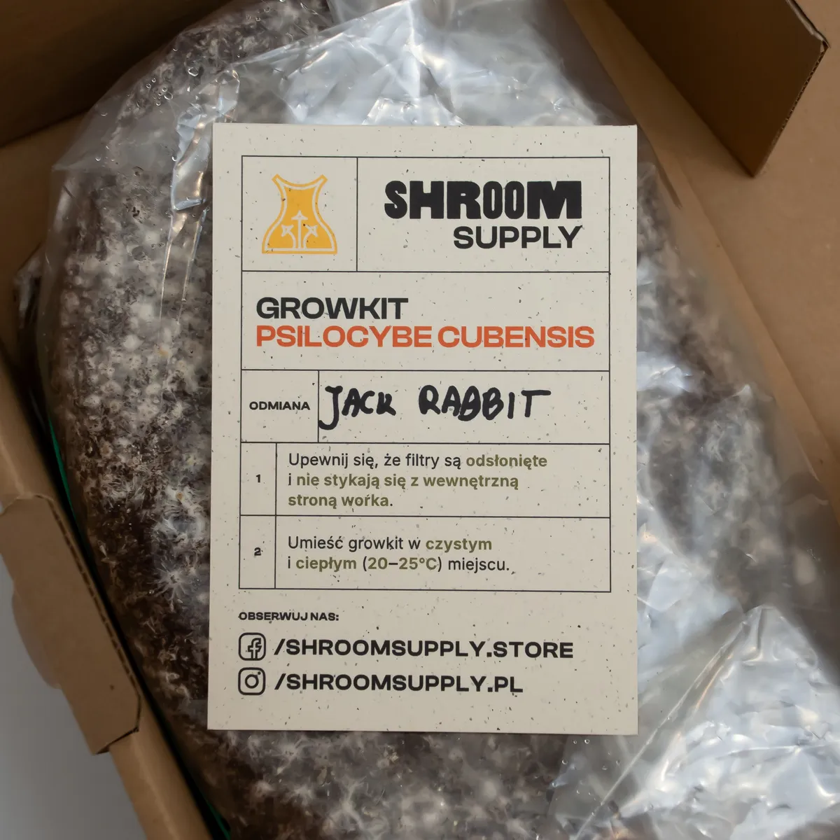jack rabbit growkit shroomsupply psilocybe cubensis etykieta