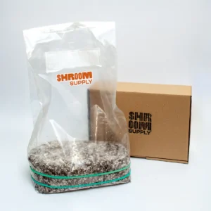 mazatapec growkit shroomsupply psilocybe cubensis