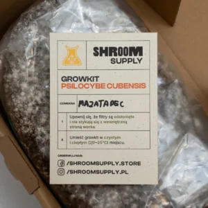 mazatapec growkit shroomsupply psilocybe cubensis etykieta