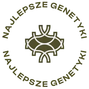 najlepsze-genetyki