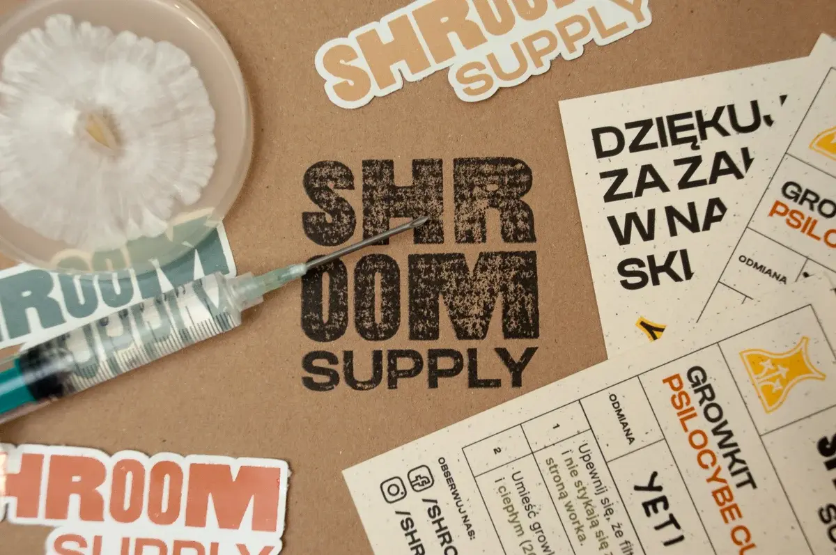 shroomsupply-dlaczego-my