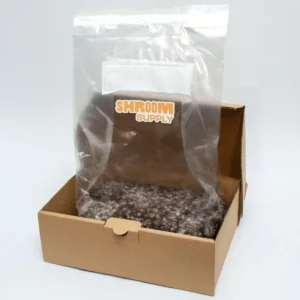 KLF-Koh-Little-Flower-growkit-shroomsupply-psilocybe-cubensis-2