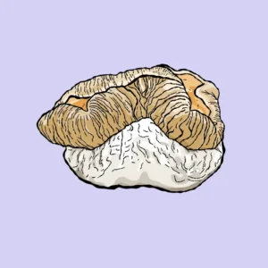 koh little flower growkit