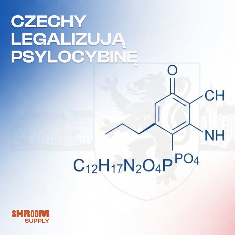 legalizacja psylocybiny